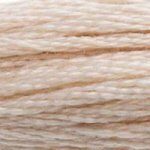 Beige 0543