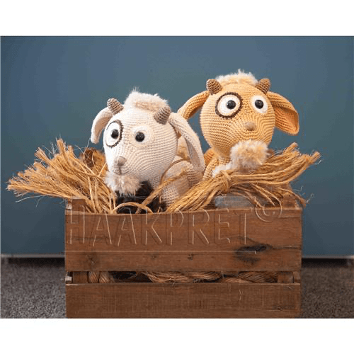 B27CE76A-B57F-4E08-A4E9-F595E8069104