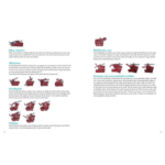 E6466244-65D2-41EB-8CB0-C86A2BB1FF23