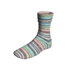 480 Multicolour Pastel