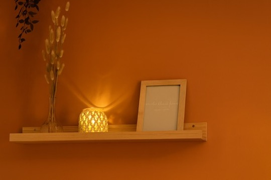 E1788787-F53E-4BAA-8171-684F2AB27531_4_5005_c