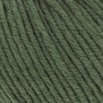 098 Dark Olive