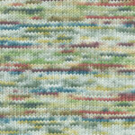 009 Sage /Turquoise / Fuchsia