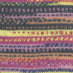 007 Purple / Yellow / Dark Blue / Tangerine